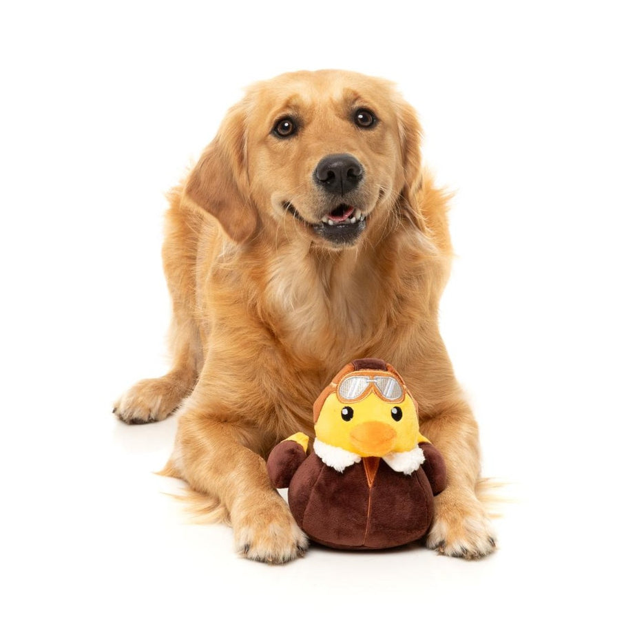 Brinquedo para Cão FuzzYard - Ducks - Amelia Quackhart