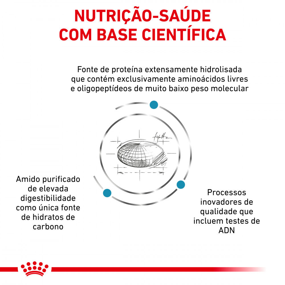 Royal Canin® Veterinary Anallergenic Small dogs – Ração para Cães Adultos de Pequeno Porte