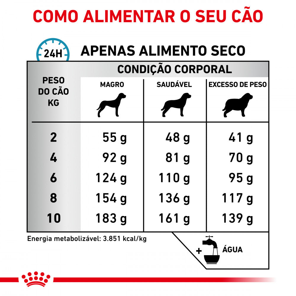 Royal Canin® Veterinary Anallergenic Small dogs – Ração para Cães Adultos de Pequeno Porte