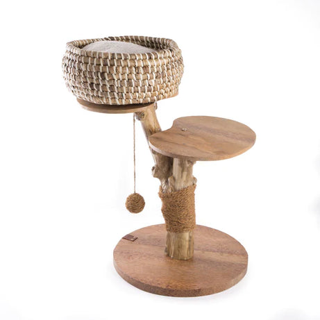 Cat Scratcher with Water Hyacinth Bed and Cushion