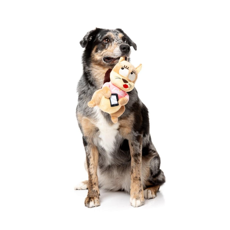 FuzzYard Peluche para Cão – Squirrels – #Ashleigh #Curbside Carl #Karen #Telemarketer Tom