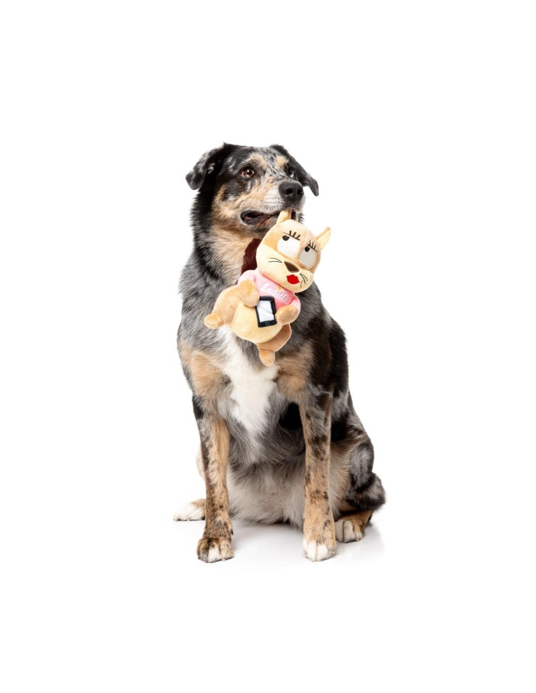 FuzzYard Peluche para Cão – Squirrels – #Ashleigh #Curbside Carl #Karen #Telemarketer Tom