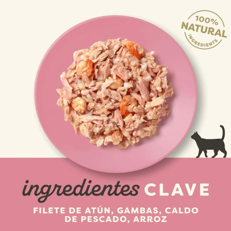 Applaws - Ração húmida para gatos | Filete de Atum com camarão