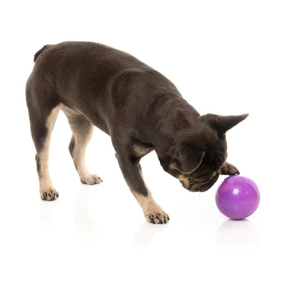 FuzzYard Brinquedo Interativo para Roer com Dispensador de Snacks – Truth Tellin' Treat Ball