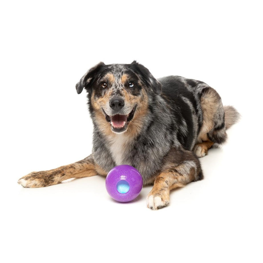 FuzzYard Brinquedo Interativo para Roer com Dispensador de Snacks – Truth Tellin' Treat Ball