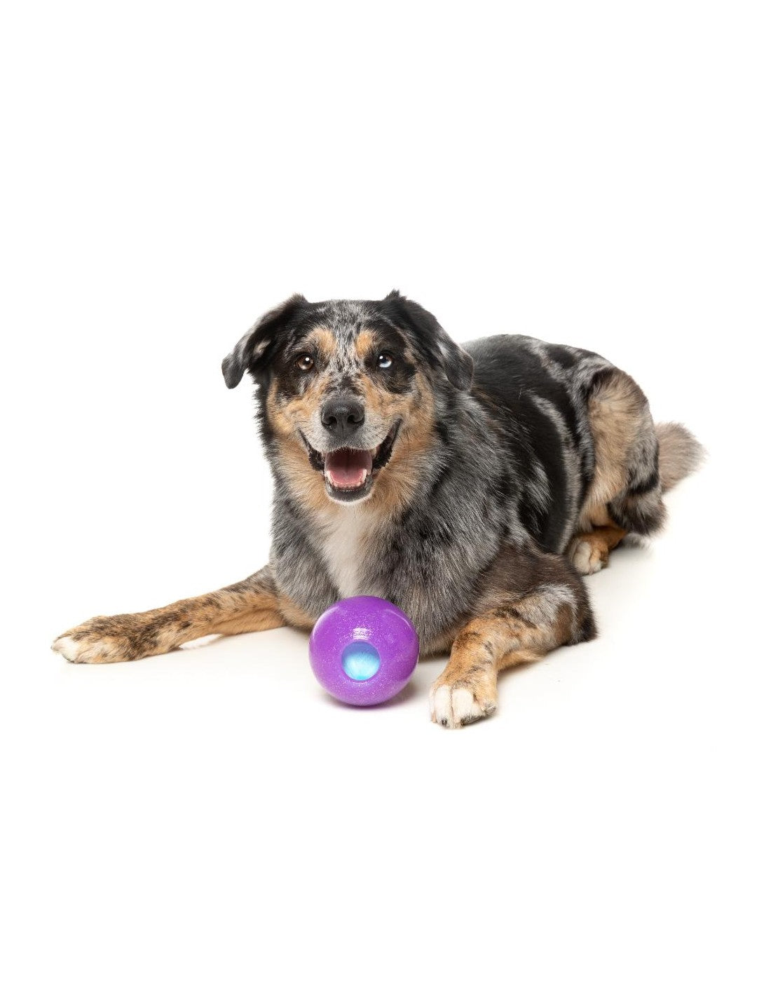 FuzzYard Brinquedo Interativo para Roer com Dispensador de Snacks – Truth Tellin' Treat Ball