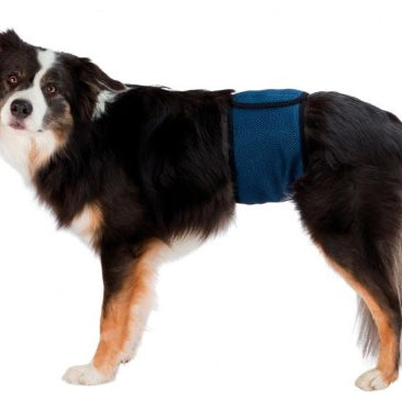 Banda para Cães Incontinentes - Azul Escuro -  Vários Tamanhos