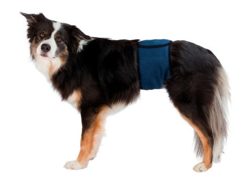 Banda para Cães Incontinentes - Azul Escuro -  Vários Tamanhos