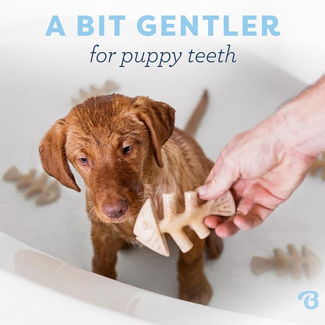 Benebone Fishbone – Brinquedo de Mastigação para Cães - Mais Macio para Cachorros Pk 2