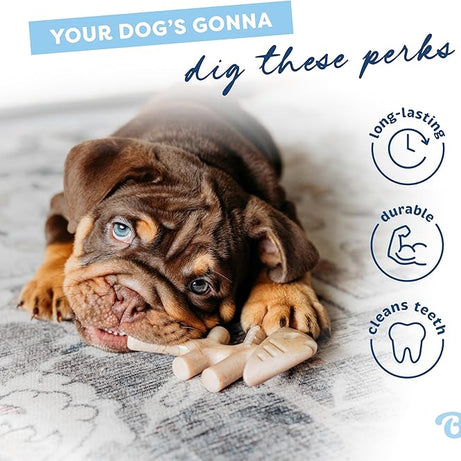Benebone Fishbone – Brinquedo de Mastigação para Cães - Mais Macio para Cachorros Pk 2