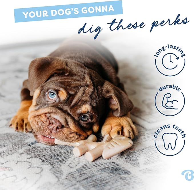 Benebone Fishbone – Brinquedo de Mastigação para Cães - Mais Macio para Cachorros Pk 2