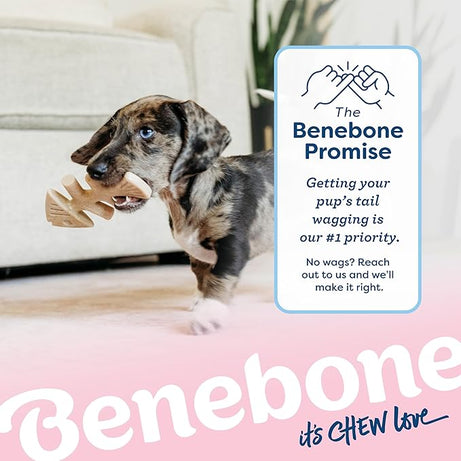 Benebone Fishbone – Brinquedo de Mastigação para Cães - Mais Macio para Cachorros Pk 2