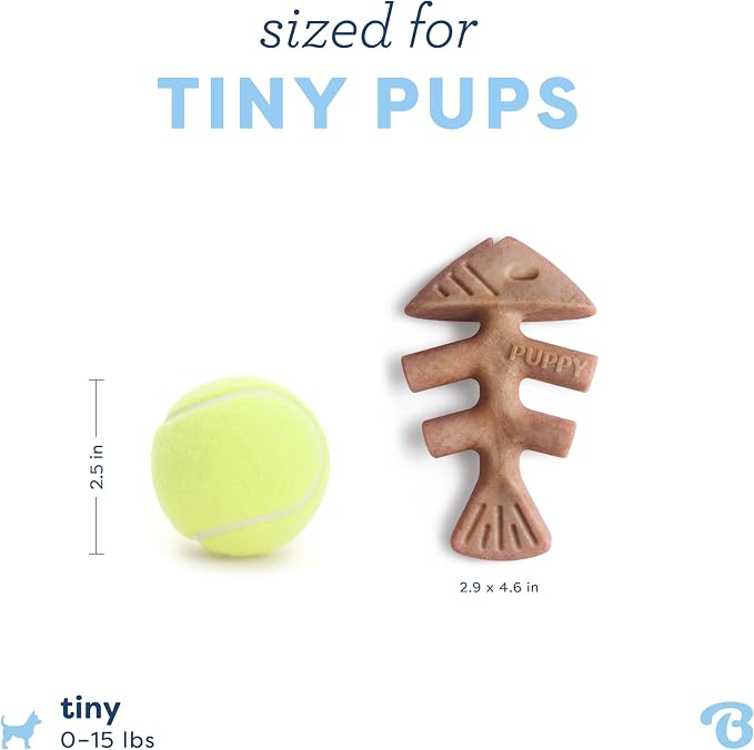 Benebone Fishbone – Brinquedo de Mastigação para Cães - Mais Macio para Cachorros Pk 2