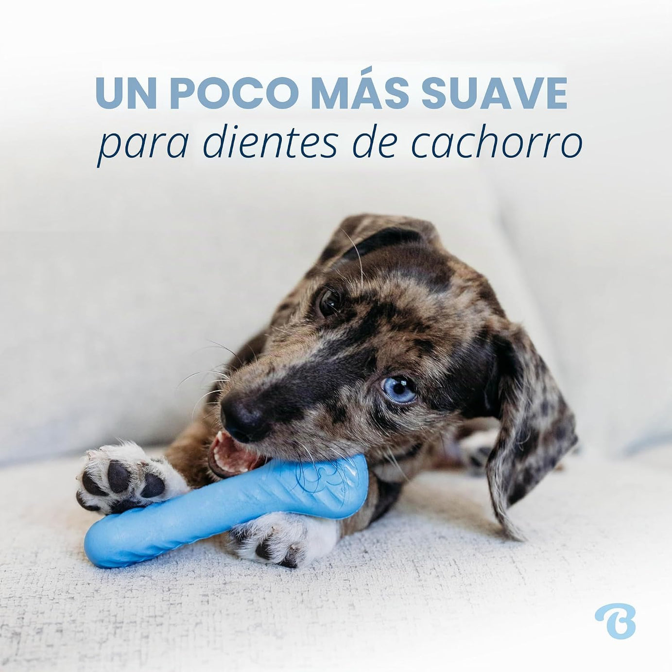 Benebone Puppy Pack de 2 – Brinquedos de Mastigação para Cachorros | Sabor a Bacon
