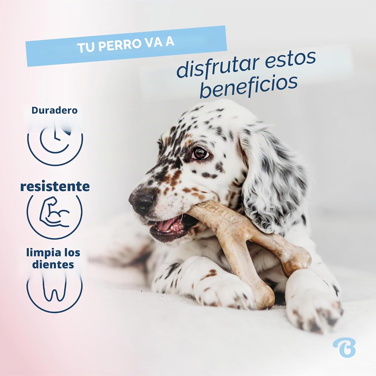 Benebone Puppy Pack de 2 – Brinquedos de Mastigação para Cachorros | Sabor a Bacon