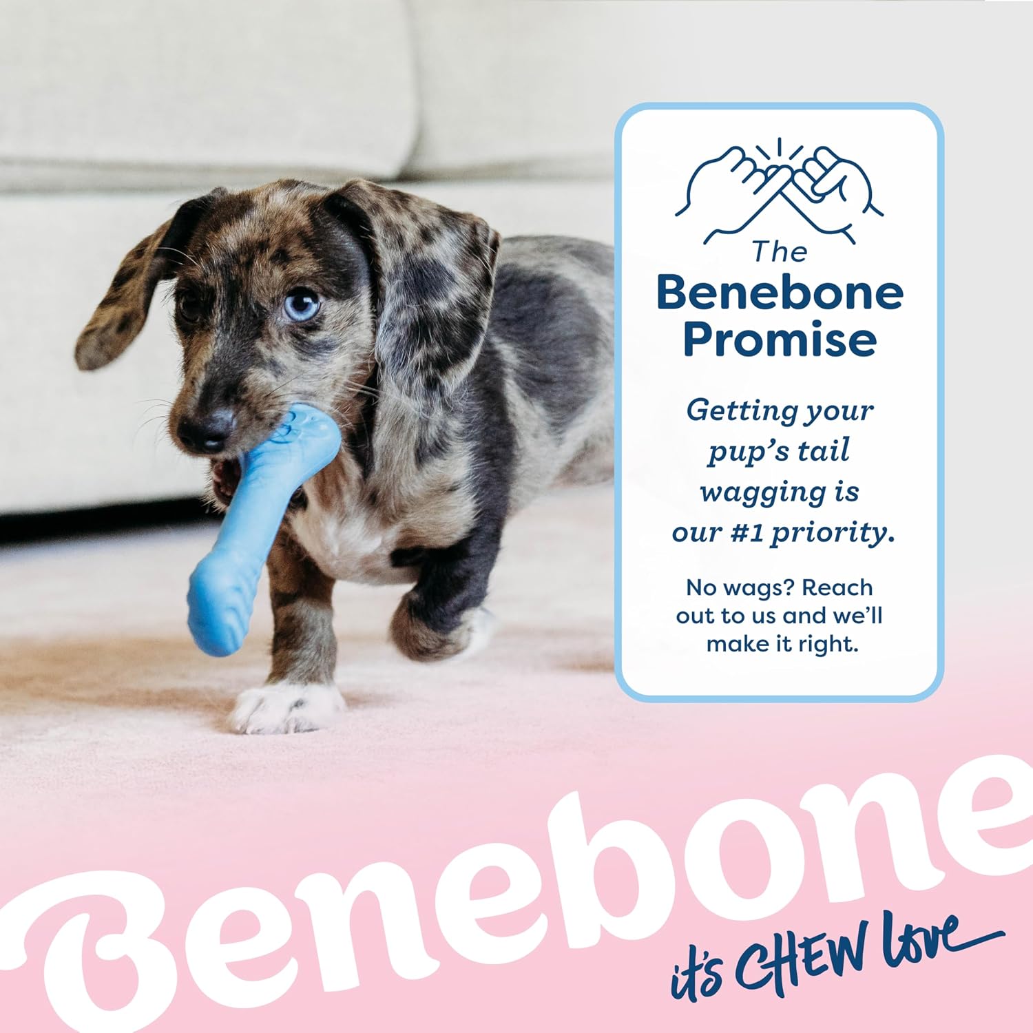 Benebone Puppy Pack de 2 – Brinquedos de Mastigação para Cachorros | Sabor a Bacon