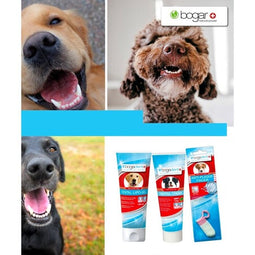 Bogadent Creme Dental | 100 g - DOGGIE STORE