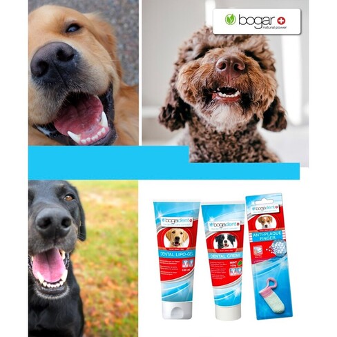 Bogadent Creme Dental | 100 g - DOGGIE STORE