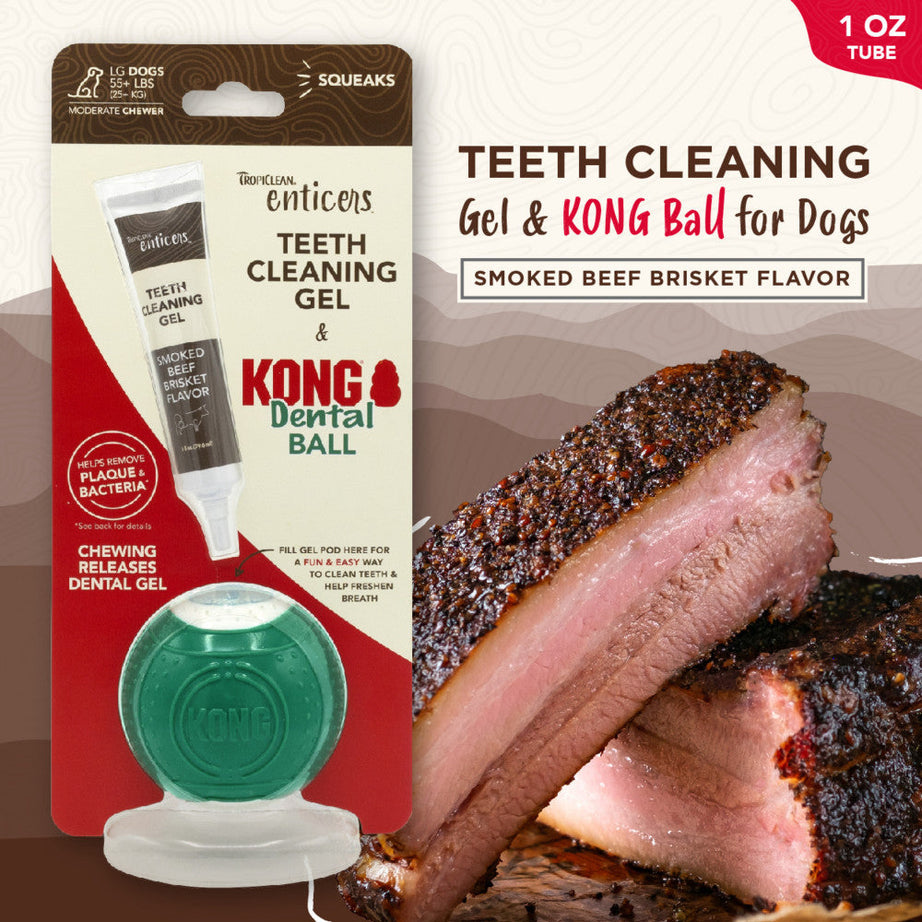 Kong Dental Kit