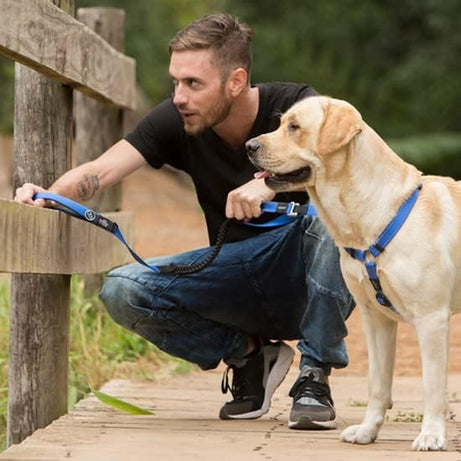 Trela Rogz Control Bungee com Absorção de Choque para Cão Vermelha (M)