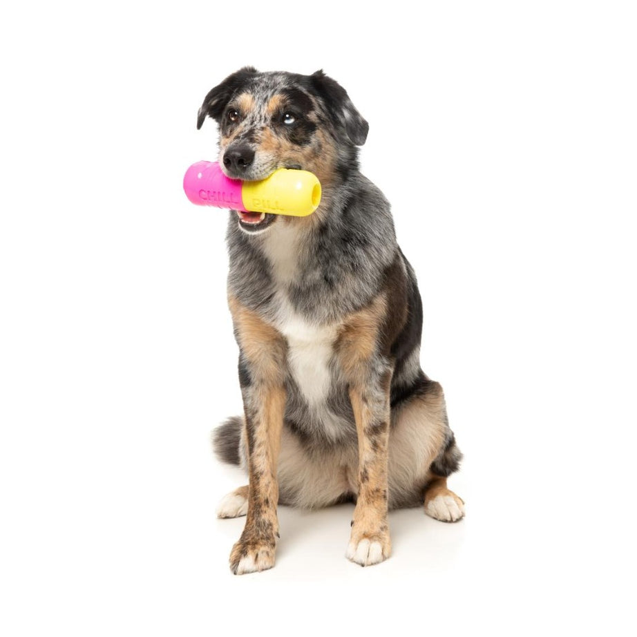 FuzzYard Brinquedo Interativo para Roer com Dispensador de Snacks – Chill Pill