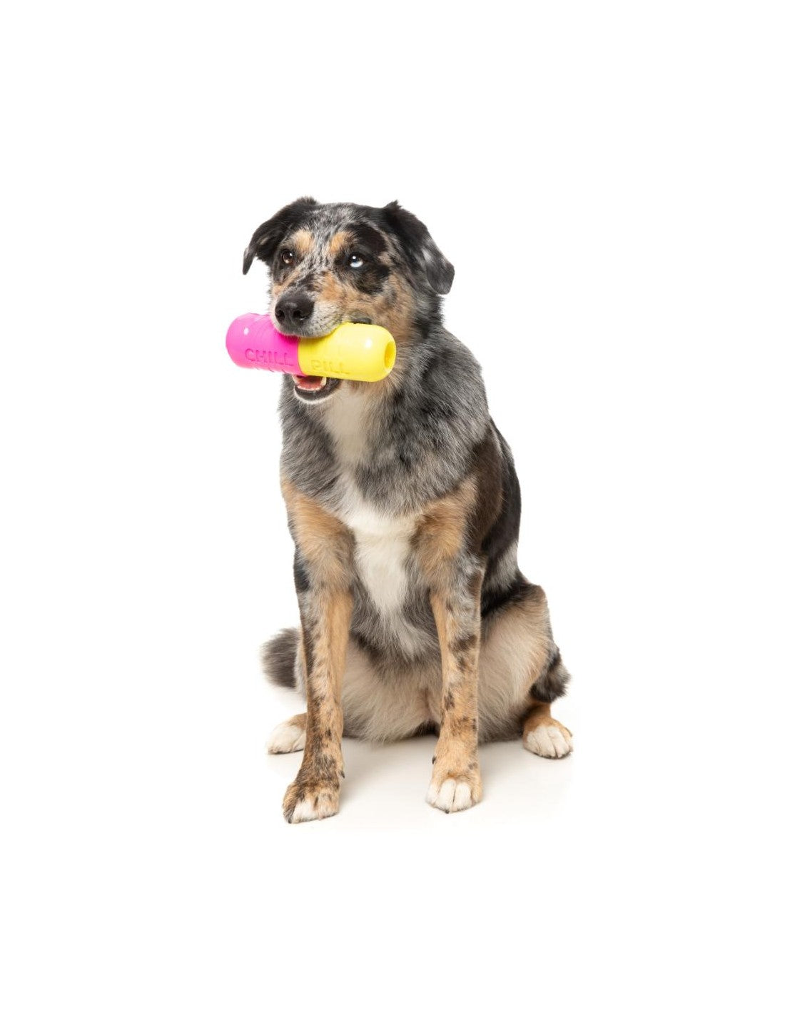 FuzzYard Brinquedo Interativo para Roer com Dispensador de Snacks – Chill Pill