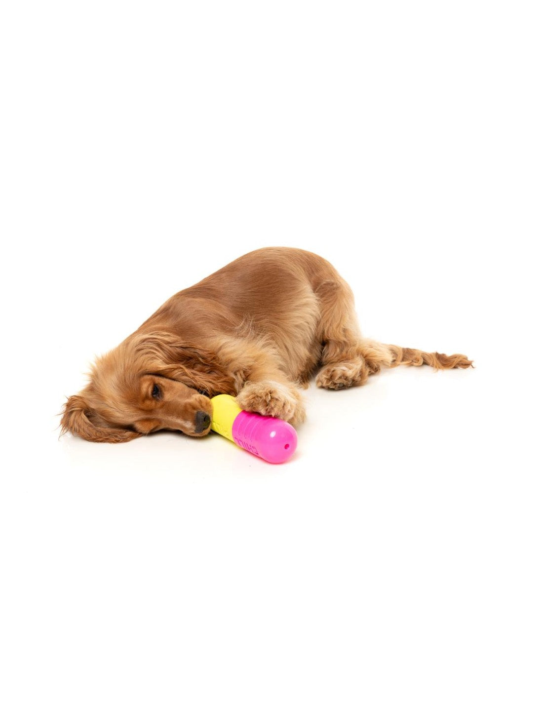 FuzzYard Brinquedo Interativo para Roer com Dispensador de Snacks – Chill Pill