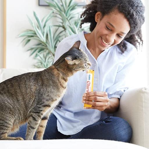 Liquid chicken snack for cats - Churu