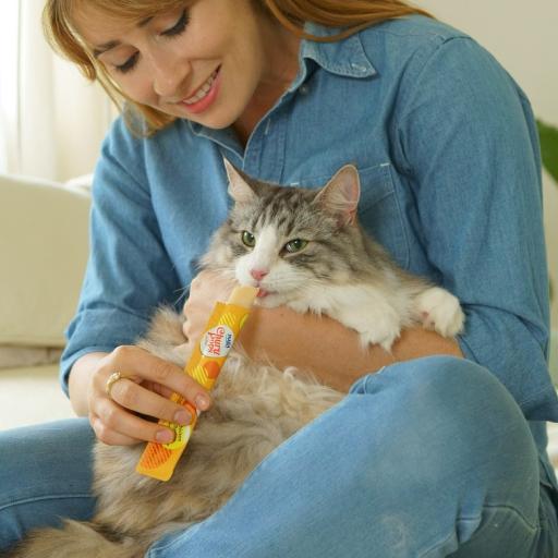 Chicken snacks for cats - Churu Pops