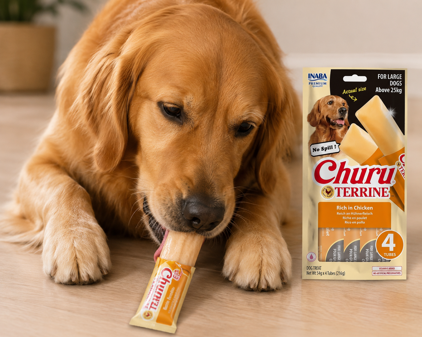 Churu Terrine para cães de porte grande acima de 25kg | Frango