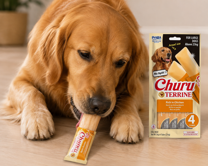 Churu Terrine para cães de porte grande acima de 25kg | Frango