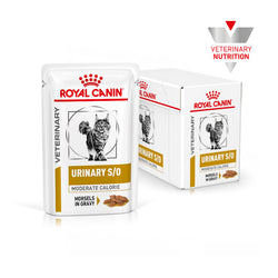 Royal Canin Vet Urinary S/O Feline in Gravy | Wet (Pouch) | 12 x 85 g