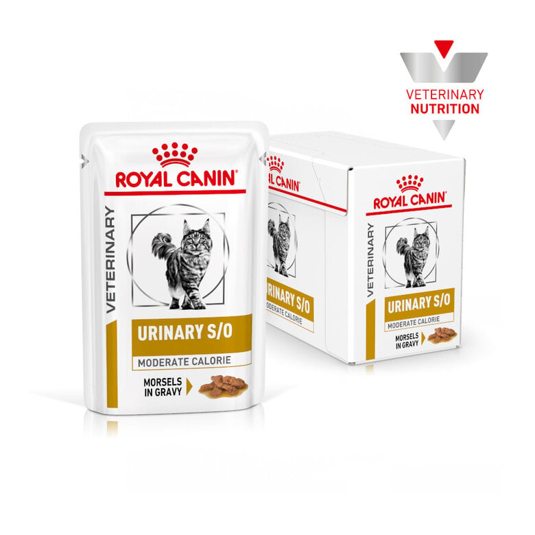 Royal Canin Vet Urinary S/O Feline in Gravy | Wet (Pouch) | 12 x 85 g