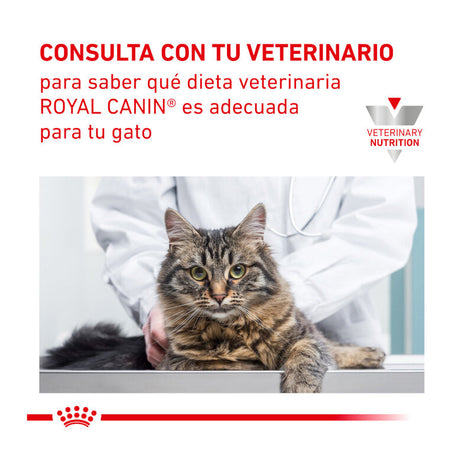 Royal Canin Vet Urinary S/O Feline in Gravy | Wet (Pouch) | 12 x 85 g