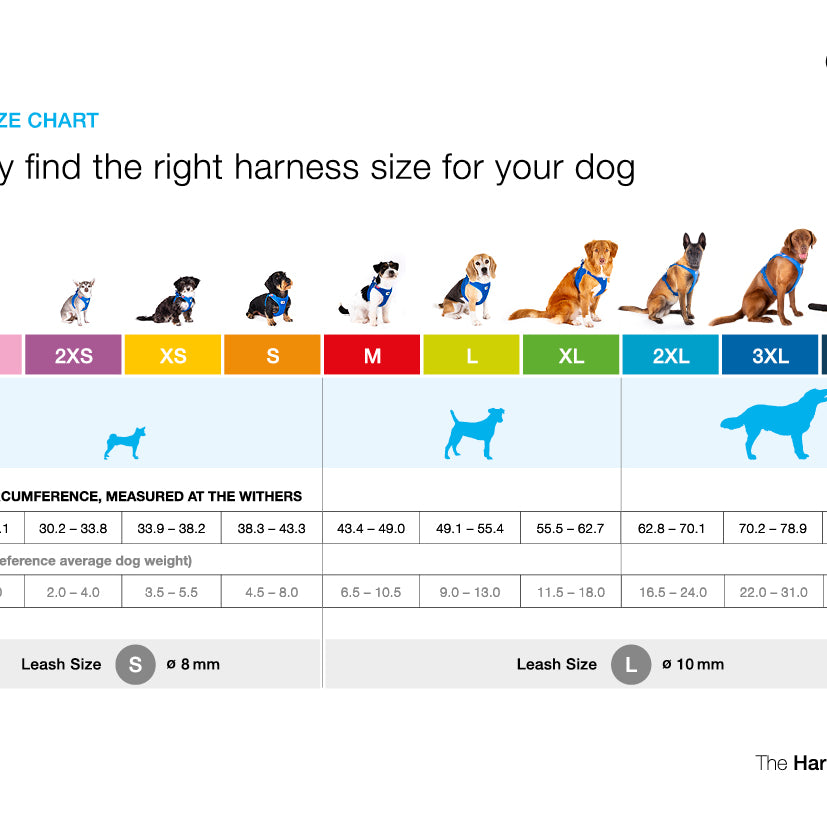 Peitoral  Curli Clasp Apple Leathe para cães