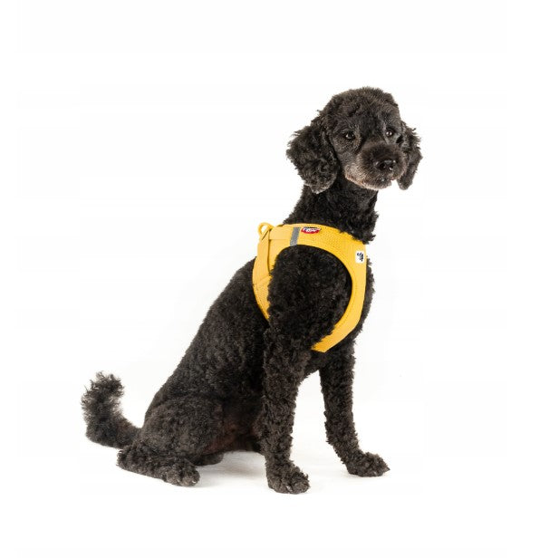 Peitoral Curli Air Mesh com Fecho Clasp para Cães | Amarelo