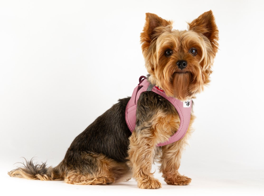 Peitoral Curli Air Mesh com Fecho Clasp para Cães | Rosa