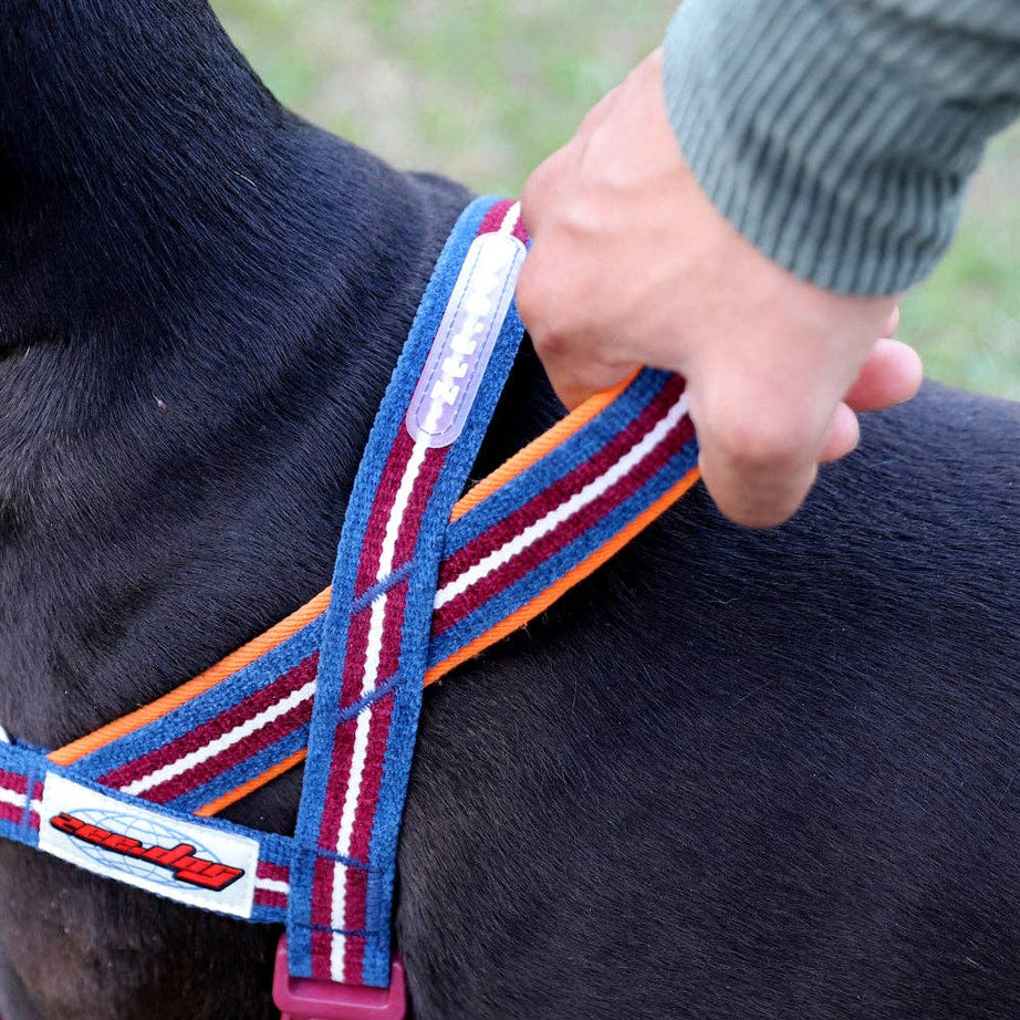 Peitoral Norueguês Anti-Puxão Zee.Dog Softer-Walk Velvet Vibes – Dropout | S