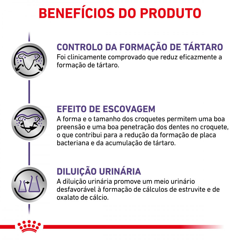 Royal Canin® Veterinary Dental Small Dog – Ração para Higiene Oral de Cães de Porte Pequeno