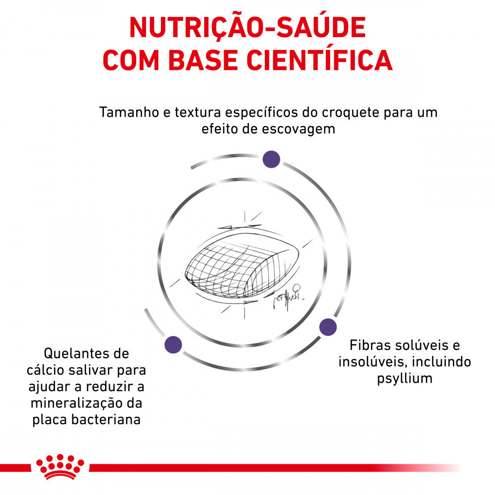 Royal Canin Vet Urinary S/O Feline