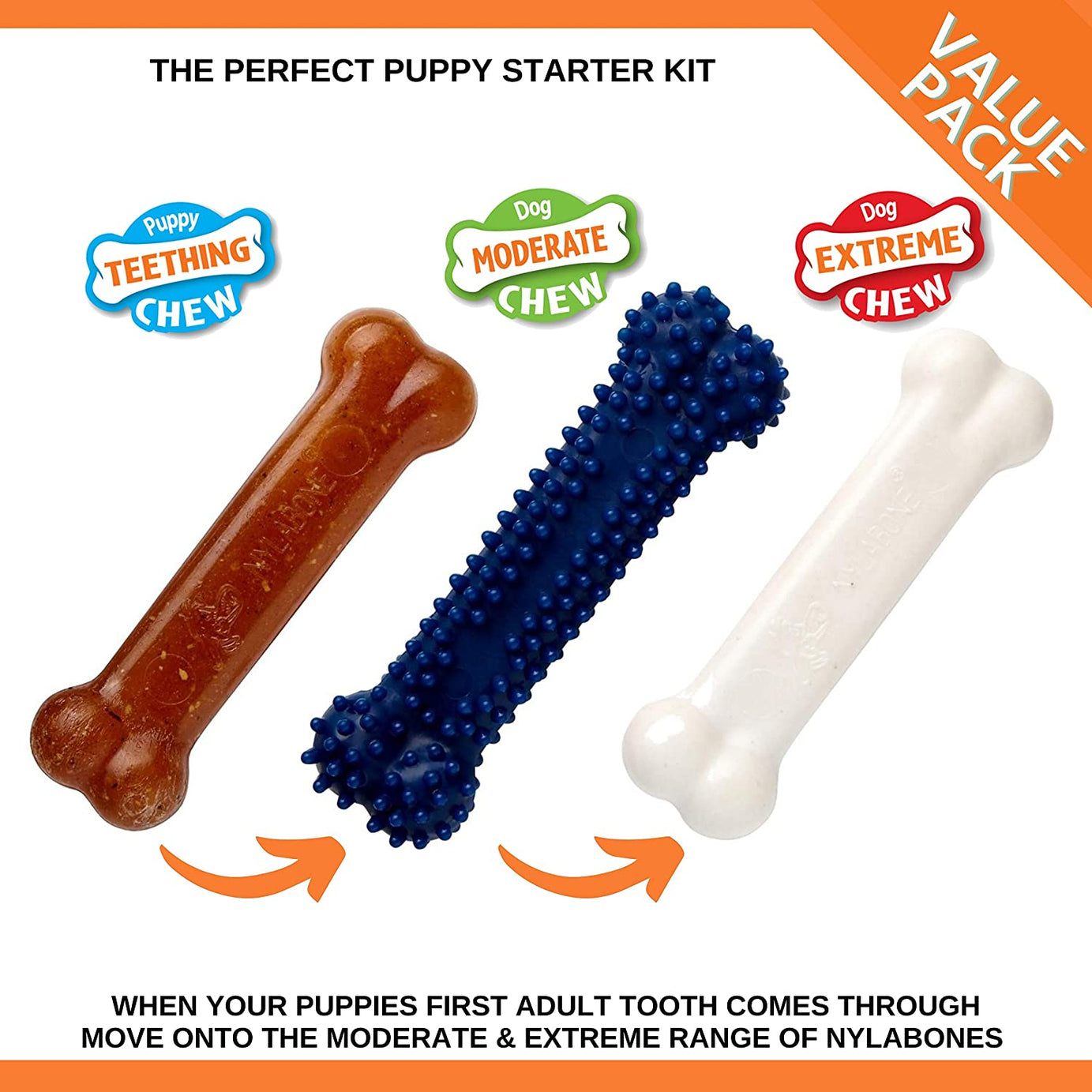 Nylabone Kit de Mastigação para Cachorros – Pack 3 Ossos (S)