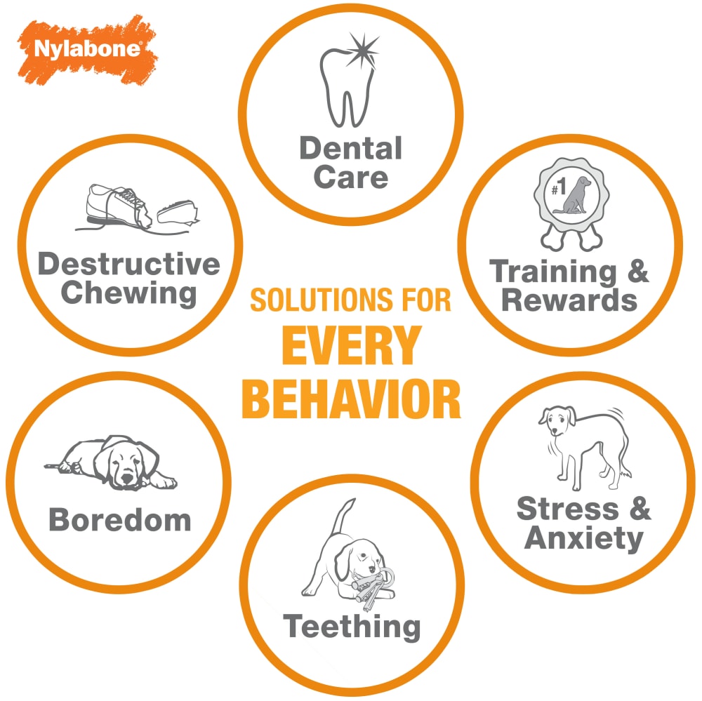 Nylabone Kit de Mastigação para Cachorros – Pack 3 Ossos (S)