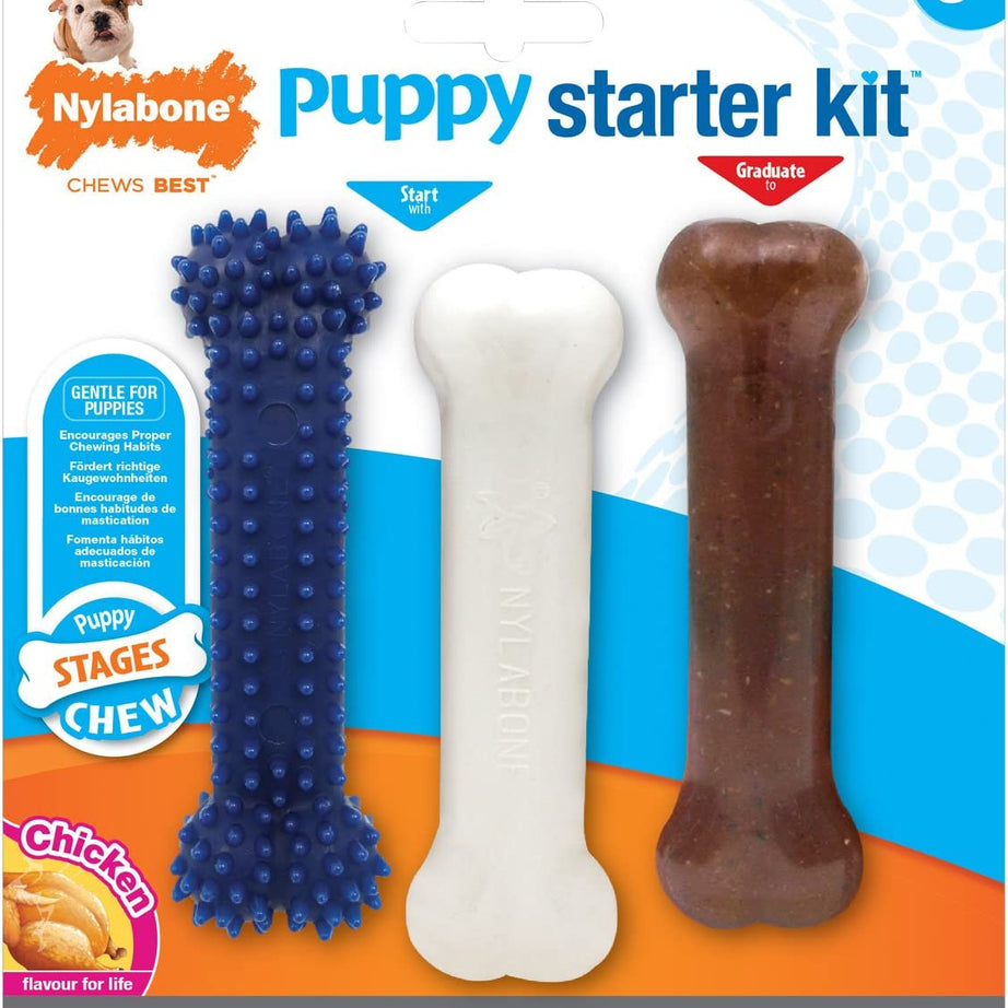 Nylabone Kit de Mastigação para Cachorros – Pack 3 Ossos (S)