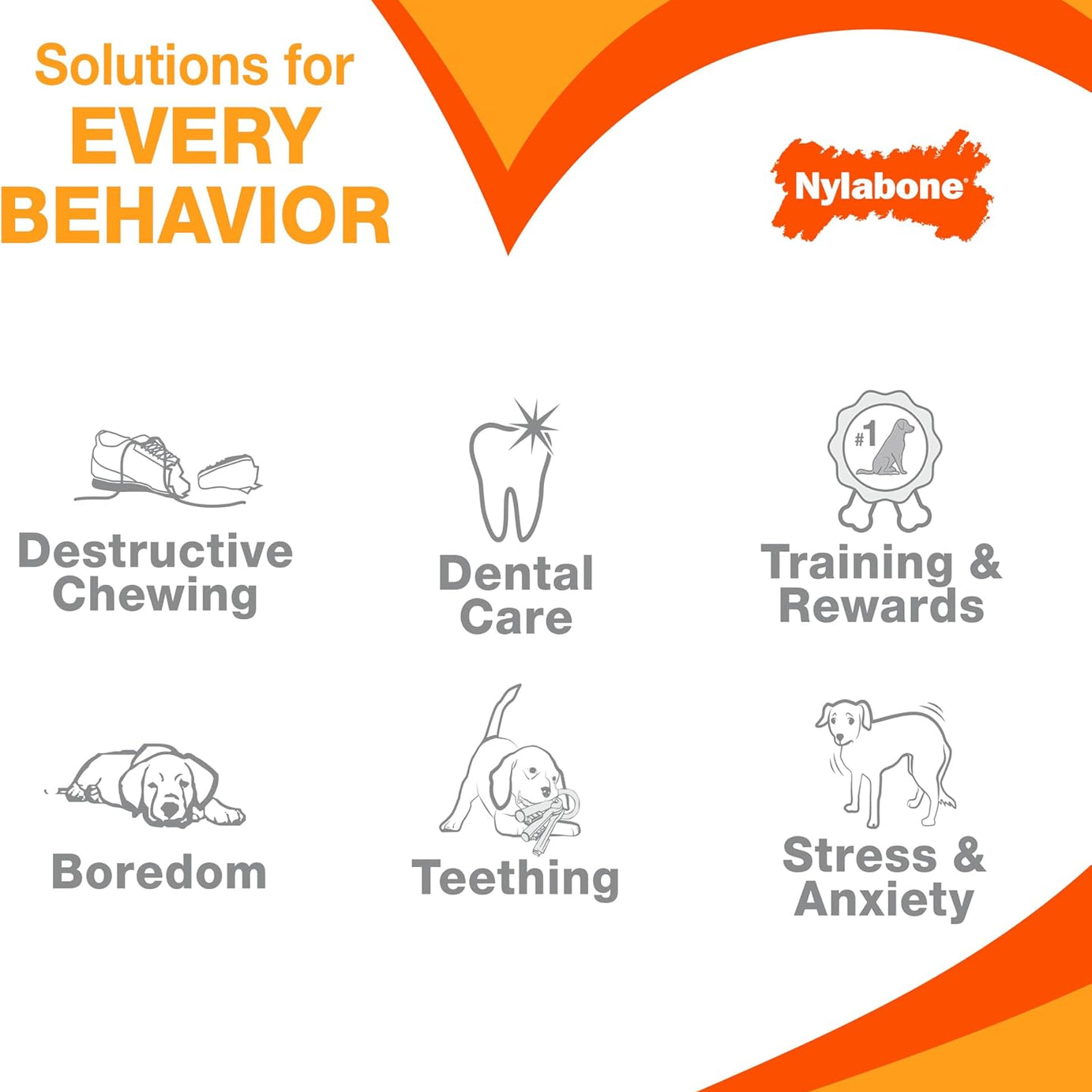 Nylabone Brinquedo Dentário Flexível Moderate com Sabor a Frango – Grande (L)