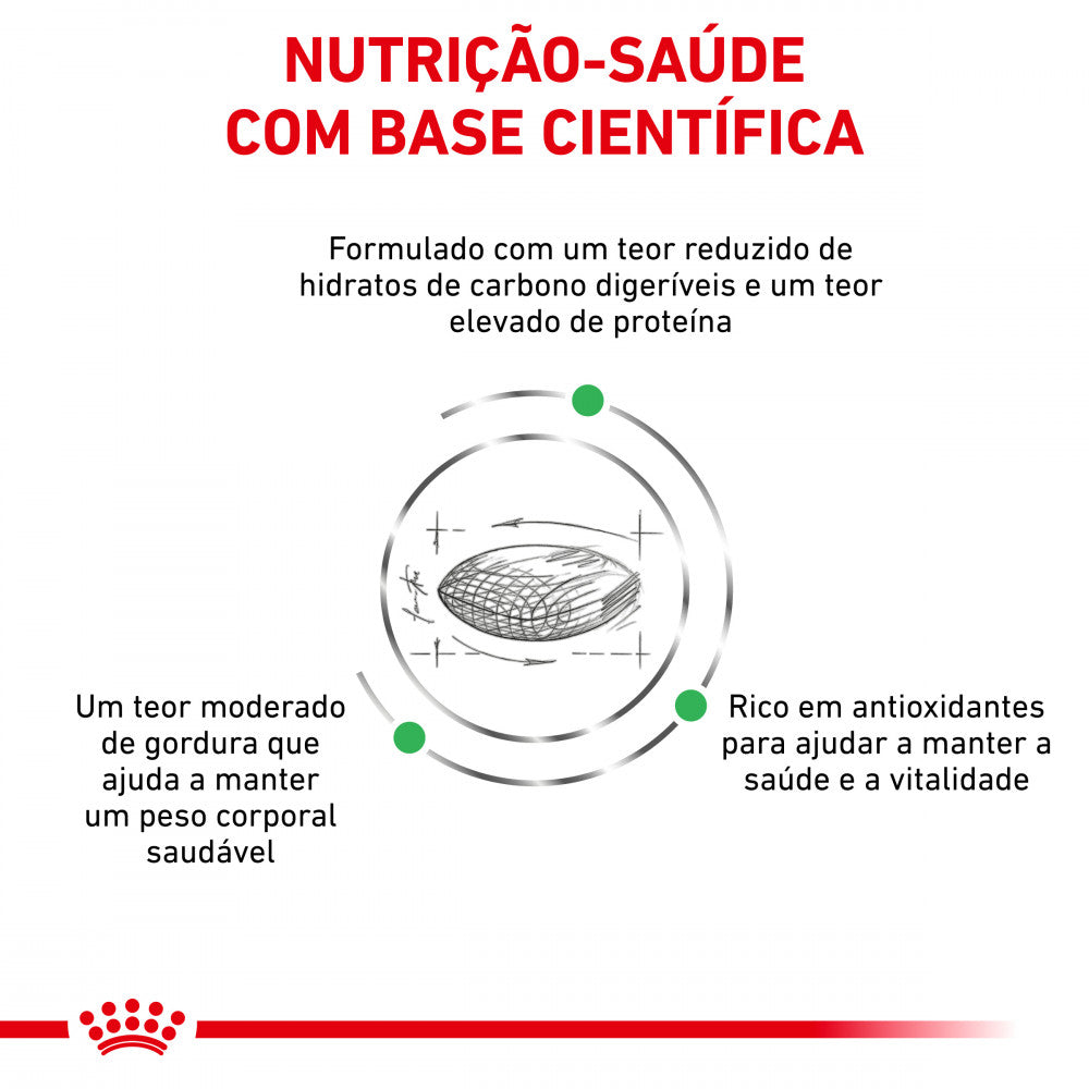 Royal Canin® Veterinary Diabetic – Ração para Gatos Adultos com Diabetes Mellitus