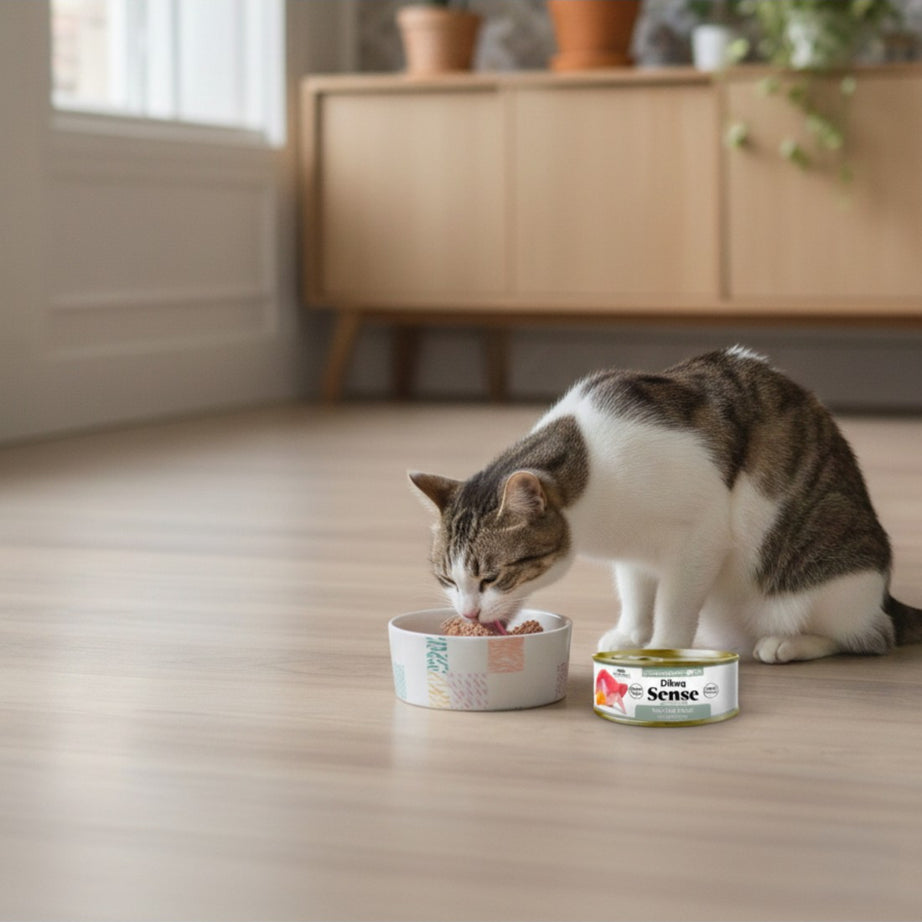 Dibaq Sense Cat Atum e Coelho com Abóbora