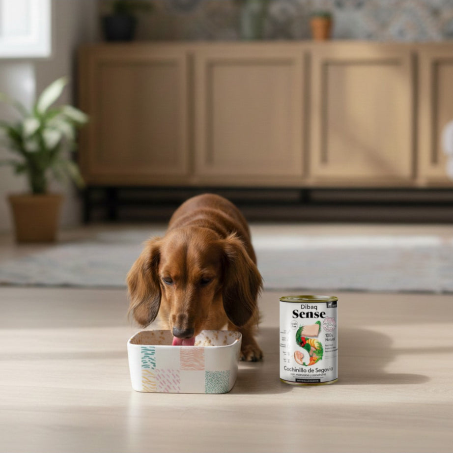 Húmido Dibaq Sense Grain Free | Leitão de Segóvia