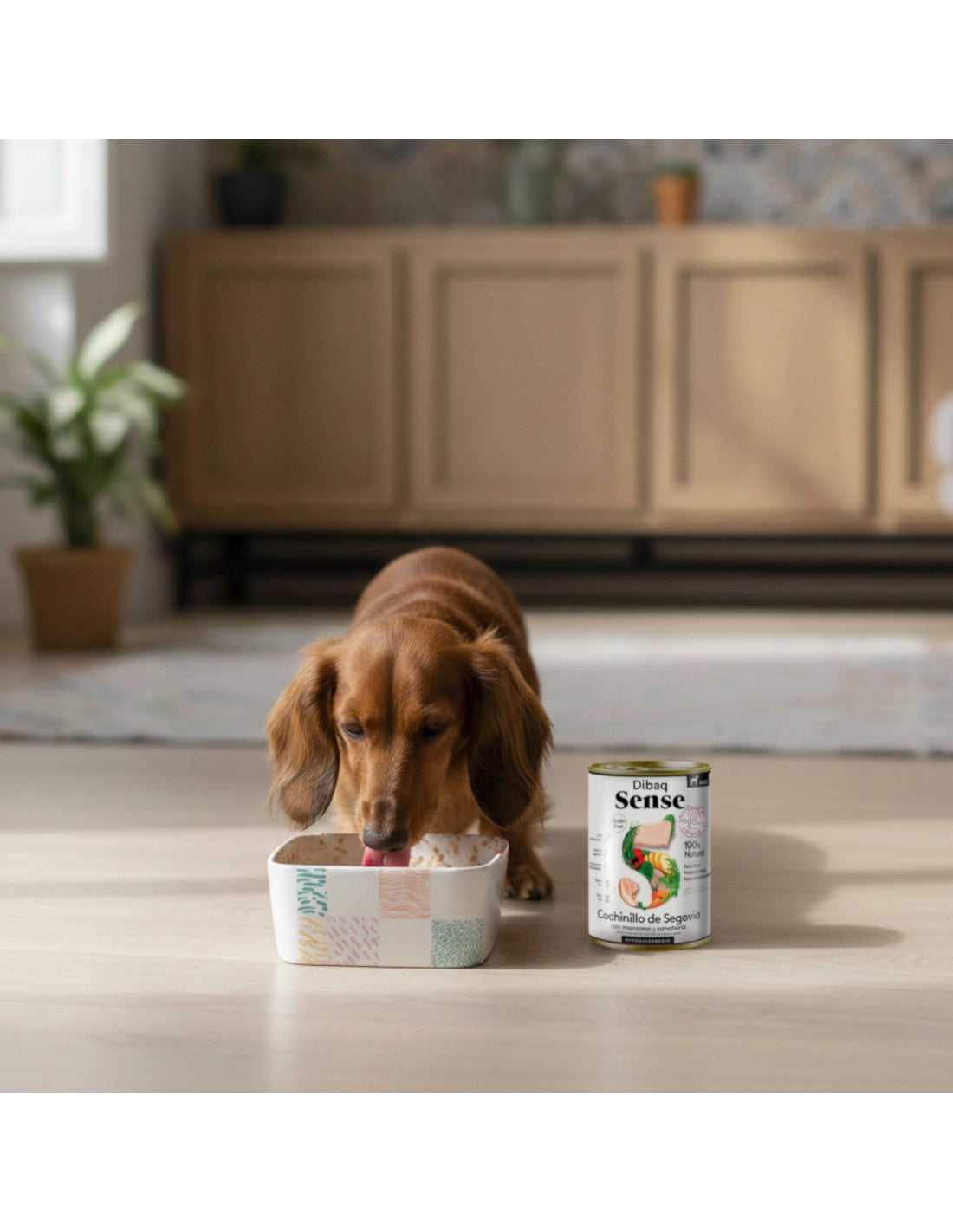 Húmido Dibaq Sense Grain Free | Leitão de Segóvia