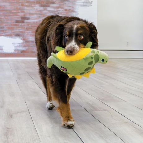 KONG Dynos Roars para Cães de Raças Médias e Grandes (Verde)