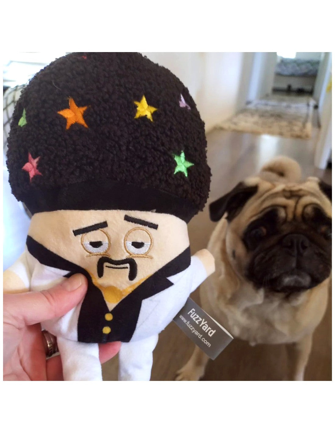 Brinquedo para Cão FuzzYard - Fun Guys - Disco Randy Mushroom